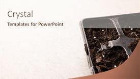  Presentation with horticulture - PPT theme enhanced with seedling-tray-filled-with-dark background and a cream colored foreground