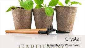  Presentation with garden tools - Colorful presentation design enhanced with seedlings cabbage in pot with garden tools isolated on white background backdrop and a soft green colored foreground