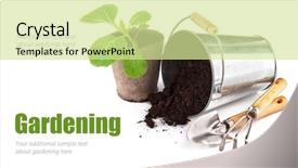  Presentation with garden tools - Cool new slide set with seedlings cabbage with bucket soil backdrop and a  colored foreground