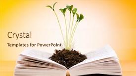 Presentation with knowledge - Amazing PPT theme having seedlings growing from book backdrop and a lemonade colored foreground