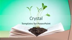  Presentation with knowledge - Colorful PPT layouts enhanced with seedlings growing from book backdrop and a cool aqua colored foreground