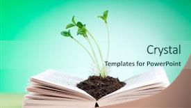  Presentation with knowledge - Slides with seedlings growing from book background and a cool aqua colored foreground