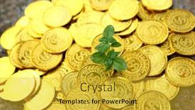  Presentation with growing - PPT layouts having seedlings-growing-from-the-coin background and a yellow colored foreground