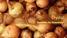  Presentation with vegetable gardening - Cool new slides with seedlings-onion-top-view-gardening backdrop and a tawny brown colored foreground