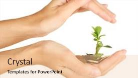  Presentation with money tree - Beautiful PPT theme featuring planting seeds - woman's hands are holding backdrop and a lemonade colored foreground