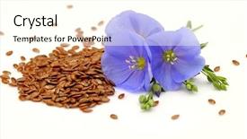  Presentation with seeds - Theme with seeds and flowers of flax background and a cream colored foreground