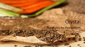  Presentation with parchment paper - Colorful presentation theme enhanced with seeds at front edge backdrop and a  colored foreground