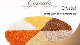  Presentation with different types of nuts - Theme having seeds bean - circle with segments background and a white colored foreground