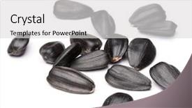  Presentation with sunflower sunflower sunflower sunflower sunflower - Slide deck featuring seeds isolated on white background background and a light gray colored foreground