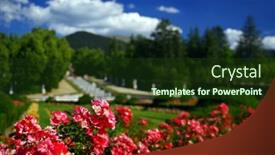  Presentation with gardens - 