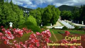  Presentation with gardens - 