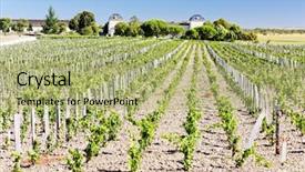  Presentation with vineyard - Slide set featuring segurity - vineyard and chateau calon-segur saint-estephe background and a mint green colored foreground