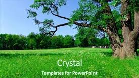  Presentation with beautiful nature in twilight - Audience pleasing presentation design consisting of sele - beautiful nature view tsarskoye selo backdrop and a forest green colored foreground