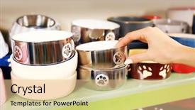  Presentation with bowl - Amazing presentation design having selecting bowl in pet shop backdrop and a lemonade colored foreground