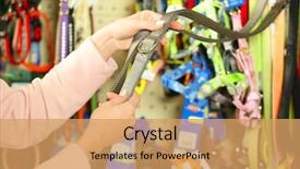  Presentation with lead - Amazing slide deck having selecting lead in pet shop backdrop and a coral colored foreground