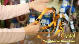  Presentation with lead - Theme with selecting lead in pet shop background and a tawny brown colored foreground
