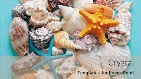  Presentation with teal - Presentation theme featuring selection-of-sea-shells background and a coral colored foreground