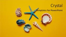  Presentation with starfish - Amazing PPT layouts having selection of seashells and starfish backdrop and a gold colored foreground
