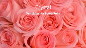  Presentation with orange abstract - Theme enhanced with selective-focus-beautiful-orange-flowers background and a coral colored foreground