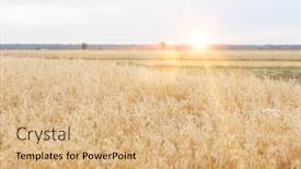  Presentation with farmland - Slide set with selective-focus-of-crops-growing background and a coral colored foreground
