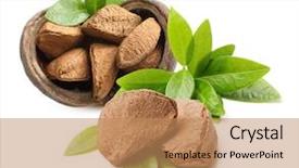  Presentation with brazil - Beautiful presentation featuring selenium - brazil nuts isolated on white backdrop and a coral colored foreground