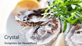  Presentation with oyster - Beautiful PPT theme featuring selenium - oyster on the ice backdrop and a sky blue colored foreground