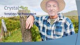  Presentation with vine - Audience pleasing PPT layouts consisting of self-employed-winegrower-leans-against backdrop and a sky blue colored foreground
