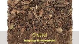  Presentation with heal - PPT theme with self-heal-herb-used background and a tawny brown colored foreground