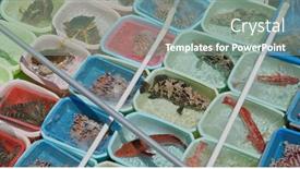  Presentation with fisherman - Audience pleasing theme consisting of sell-seafood-on-fisherman-boat backdrop and a gray colored foreground