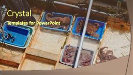  Presentation with fisherman - Cool new PPT theme with sell-seafood-on-fisherman-boat backdrop and a tawny brown colored foreground