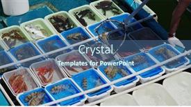  Presentation with seafood - Amazing presentation having sell-seafood-on-fisherman-boat backdrop and a ocean colored foreground