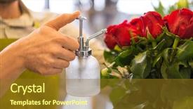  Presentation with audit business compliance concept - Amazing slide deck having sellers - small business sale and floristry backdrop and a tawny brown colored foreground