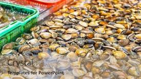  Presentation with clam - PPT layouts consisting of selling-clam-in-the-wet background and a coral colored foreground