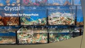  Presentation with water tank - Presentation theme featuring selling-seafood-in-water-tank background and a teal colored foreground