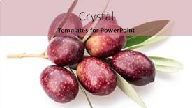  Presentation with olive - Theme with semi-ripe-olive-berries background and a coral colored foreground