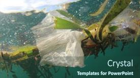  Presentation with plastic straws - 