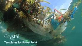  Presentation with plastic straws - 