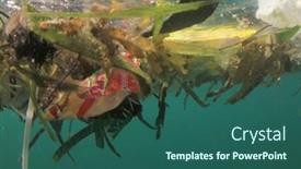  Presentation with plastic straws - 