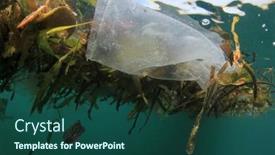  Presentation with plastic straws - 