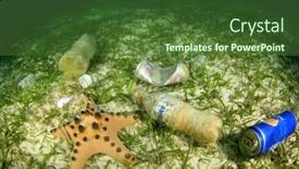  Presentation with plastic straws - 