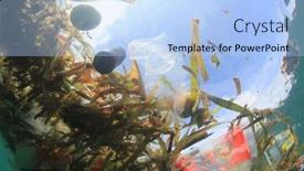  Presentation with ocean pollution - 