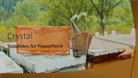  Presentation with honey - Slide set consisting of senior-beekeeper-checking background and a coral colored foreground