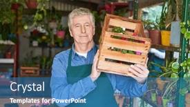  Presentation with shipping - PPT theme featuring senior-boss-in-his-nursery background and a teal colored foreground