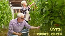 Presentation with agriculture greenhouse - Colorful presentation design enhanced with senior couple with clipboard growing backdrop and a tawny brown colored foreground