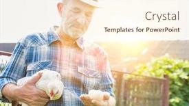  Presentation with flare - Beautiful theme featuring senior farmer holding chicken and egg with yellow lens flare backdrop and a cream colored foreground