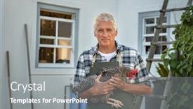  Presentation with old farm - Theme consisting of senior-farmer-holding-hen background and a gray colored foreground