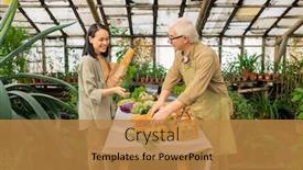  Presentation with senior asian - Presentation design with senior-farmer-in-apron-standing background and a gold colored foreground