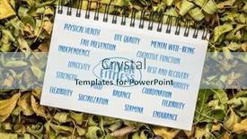  Presentation with healthy aging - Slides having senior-fitness-word-cloud background and a sky blue colored foreground