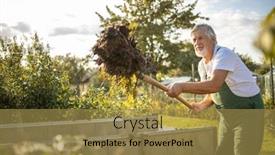  Presentation with gardening - Slide deck featuring senior-gardener-gardening background and a gold colored foreground