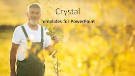  Presentation with fruit trees - Cool new PPT layouts with senior-gardener-gardening backdrop and a yellow colored foreground